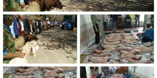 توزیع گوشت قربانی ۱۷ راس گوسفند بین محرومان شهرستان خوشاب توسط خیرین و هیات مذهبی روستای بلقان آباد